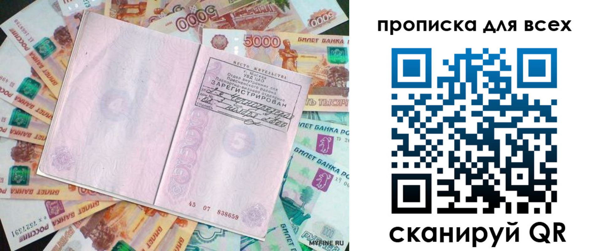 прописка штамп в Зверево